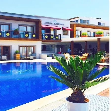 酒店 阿肯海滩酒店 3*