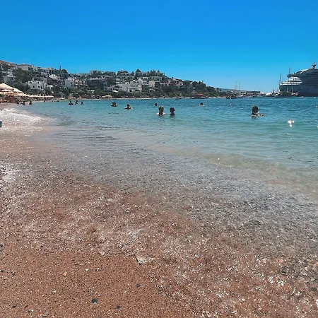 酒店 阿肯海滩酒店